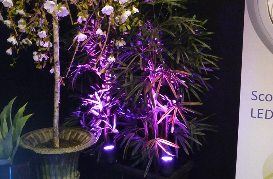 5W Garden Spike Light LED Lawn Projector Lamp