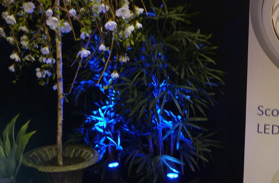 5W Garden Spike Light LED Lawn Projector Lamp