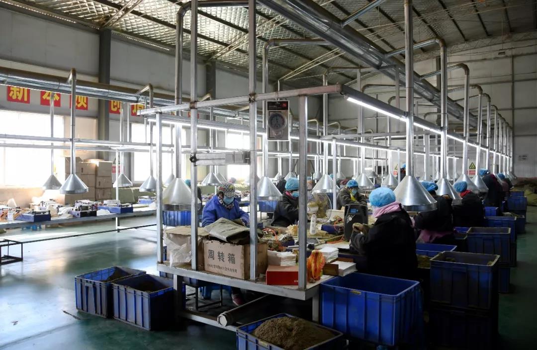 Wormwood products factory picture